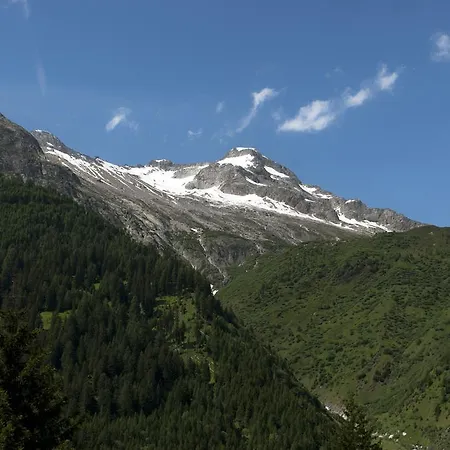 Bed & Breakfast Dei Fiori Bedretto