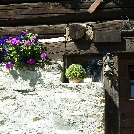 Dei Fiori