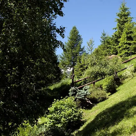 Bed & Breakfast Dei Fiori Bedretto