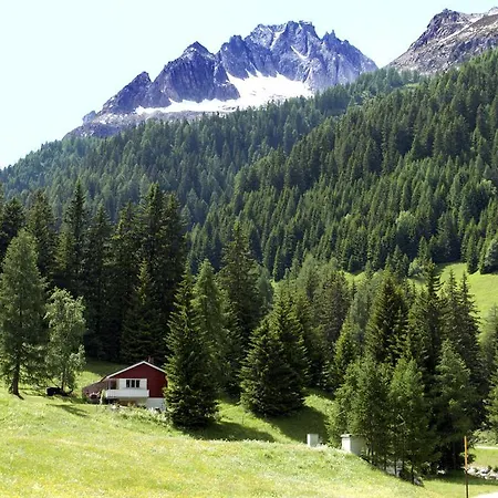 Dei Fiori 3* Bedretto